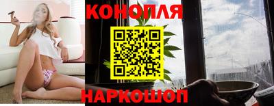спиды Донской