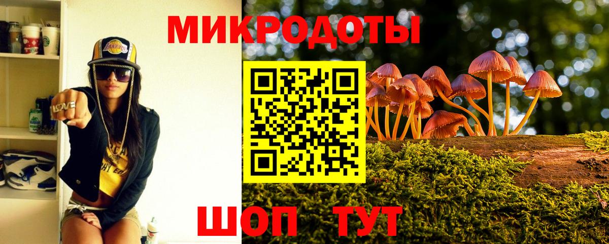 Галлюциногенные грибы Psilocybe Буйнакск