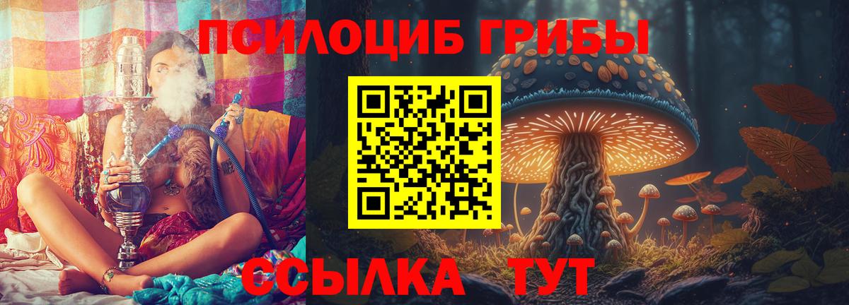 Галлюциногенные грибы Psilocybe  Галлюциногенные грибы Psilocybine cubensis  Буйнакск  Вход с VPN 
